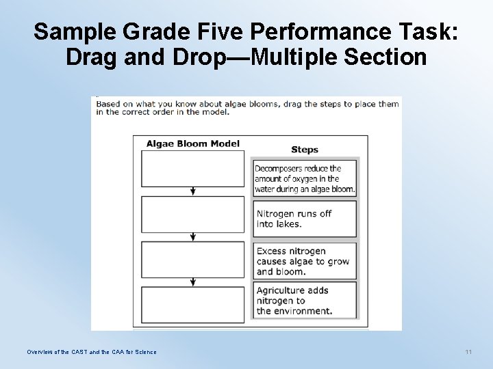 Sample Grade Five Performance Task: Drag and Drop—Multiple Section Overview of the CAST and
