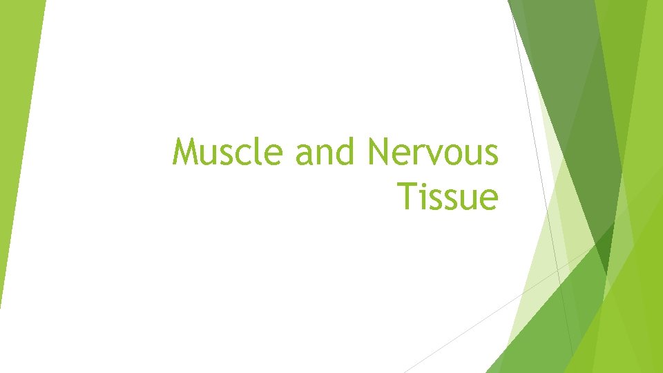 Muscle and Nervous Tissue 