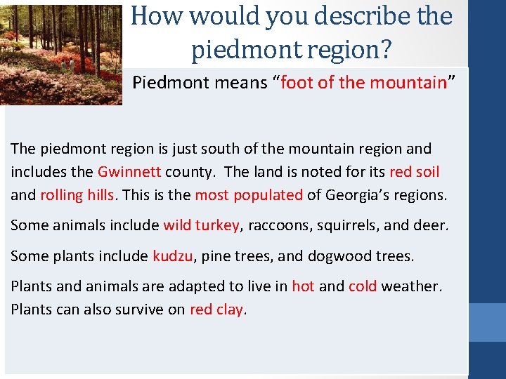 How would you describe the piedmont region? Piedmont means “foot of the mountain” The