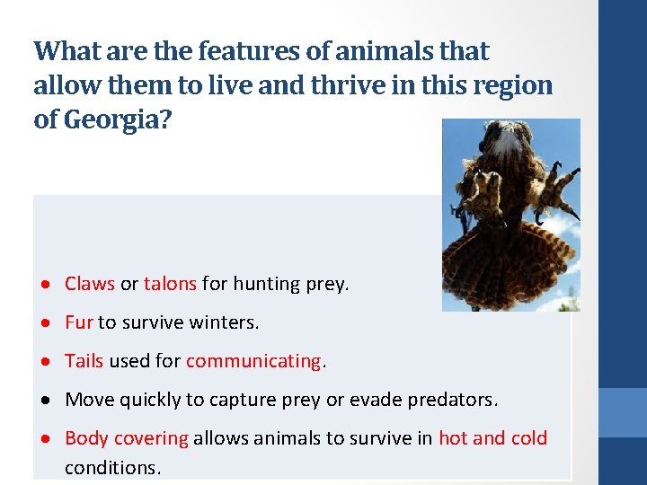 What are the features of animals that allow them to live and thrive in