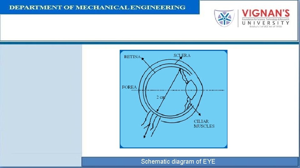 MACHINE VISION By Sai kumar S Assistant professor