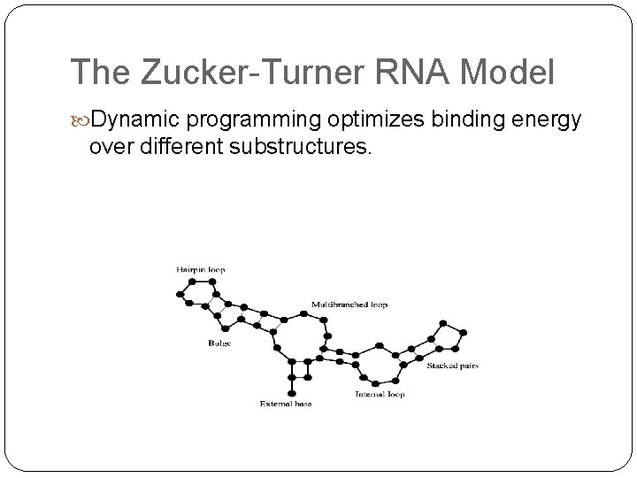 The Zucker-Turner RNA Model Dynamic programming optimizes binding energy over different substructures. 