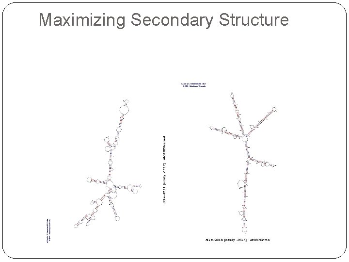 Maximizing Secondary Structure 
