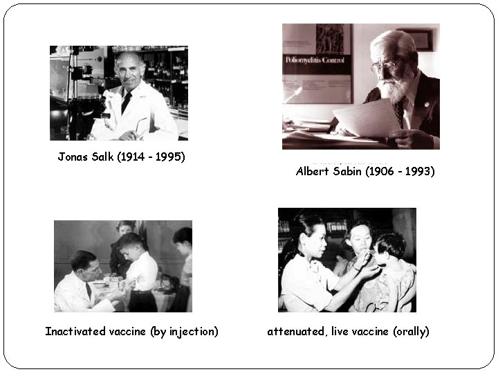 Jonas Salk (1914 - 1995) Inactivated vaccine (by injection) XXXXXXX xxxxxxxx Albert Sabin (1906