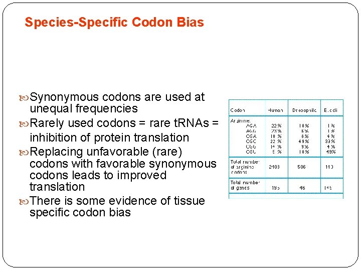 Species-Specific Codon Bias Synonymous codons are used at unequal frequencies Rarely used codons =