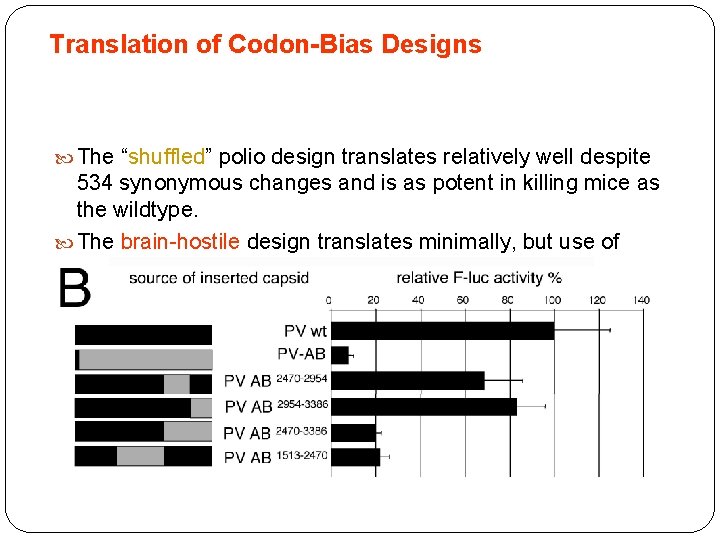 Translation of Codon-Bias Designs The “shuffled” polio design translates relatively well despite 534 synonymous