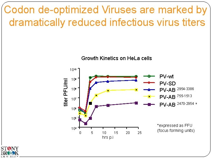 Codon de-optimized Viruses are marked by dramatically reduced infectious virus titers Growth Kinetics on