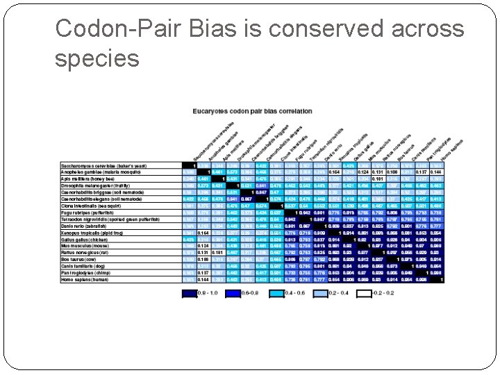 Codon-Pair Bias is conserved across species 