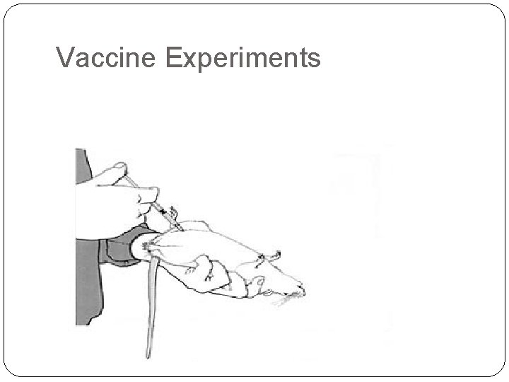 Vaccine Experiments 