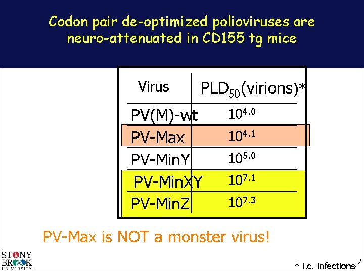 Codon pair de-optimized polioviruses are neuro-attenuated in CD 155 tg mice Virus PLD 50(virions)*