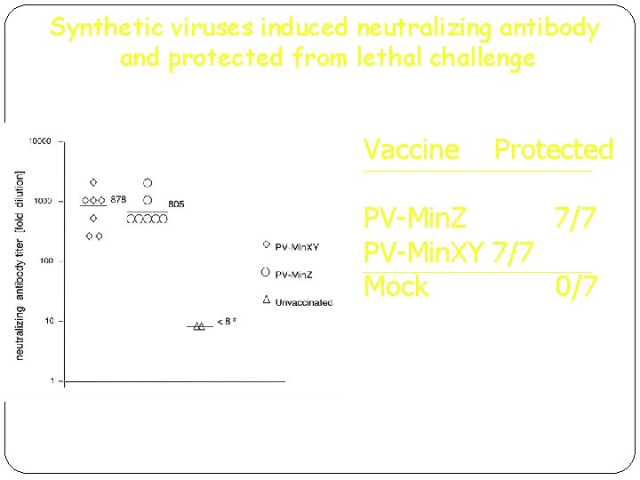 Synthetic viruses induced neutralizing antibody and protected from lethal challenge Vaccine Protected PV-Min. Z