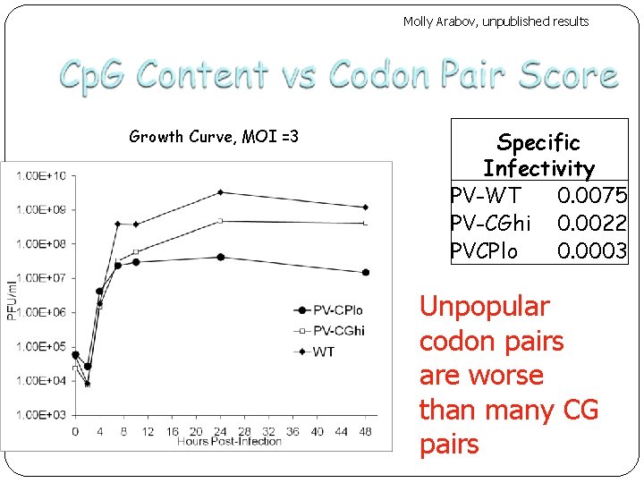 Molly Arabov, unpublished results Growth Curve, MOI =3 Specific Infectivity PV-WT 0. 0075 PV-CGhi