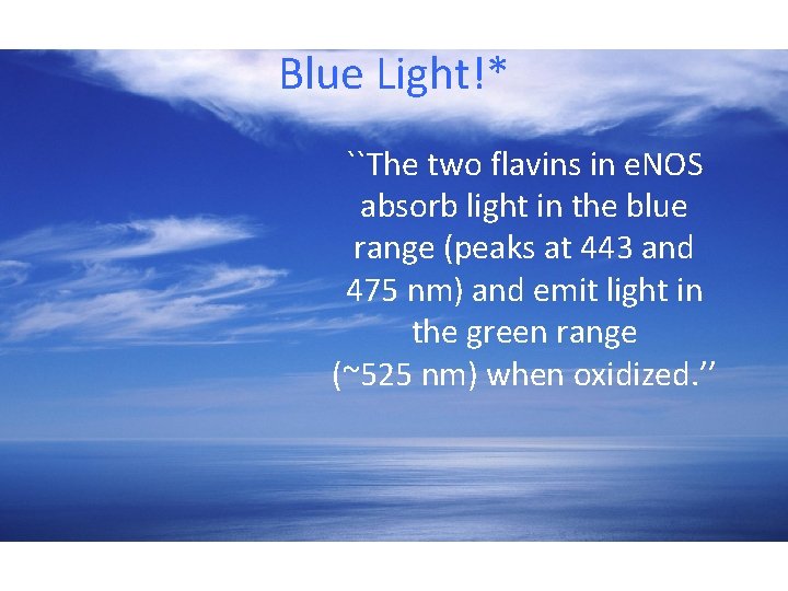 Blue Light!* ``The two flavins in e. NOS absorb light in the blue range