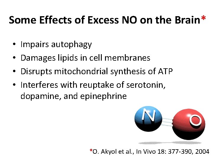 Some Effects of Excess NO on the Brain* • • Impairs autophagy Damages lipids