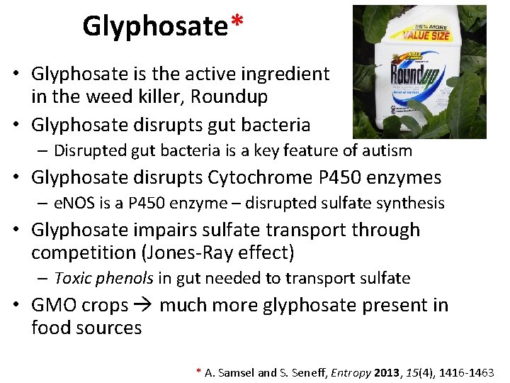 Glyphosate* • Glyphosate is the active ingredient in the weed killer, Roundup • Glyphosate