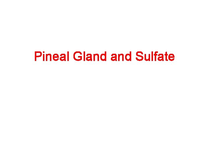 Pineal Gland Sulfate 