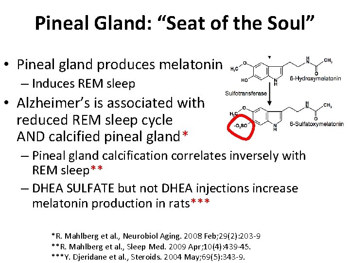 Pineal Gland: “Seat of the Soul” • Pineal gland produces melatonin – Induces REM