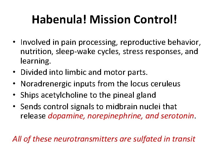 Habenula! Mission Control! • Involved in pain processing, reproductive behavior, nutrition, sleep-wake cycles, stress