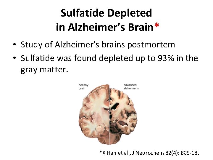 Sulfatide Depleted in Alzheimer’s Brain* • Study of Alzheimer's brains postmortem • Sulfatide was
