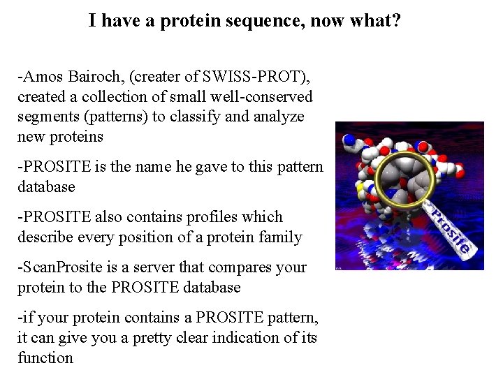 I have a protein sequence, now what? -Amos Bairoch, (creater of SWISS-PROT), created a