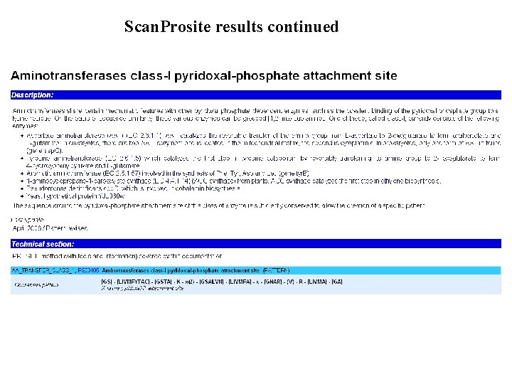 Scan. Prosite results continued 