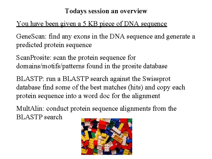 Todays session an overview You have been given a 5 KB piece of DNA