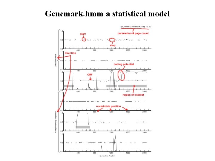 Genemark. hmm a statistical model 