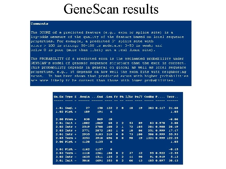 Gene. Scan results 