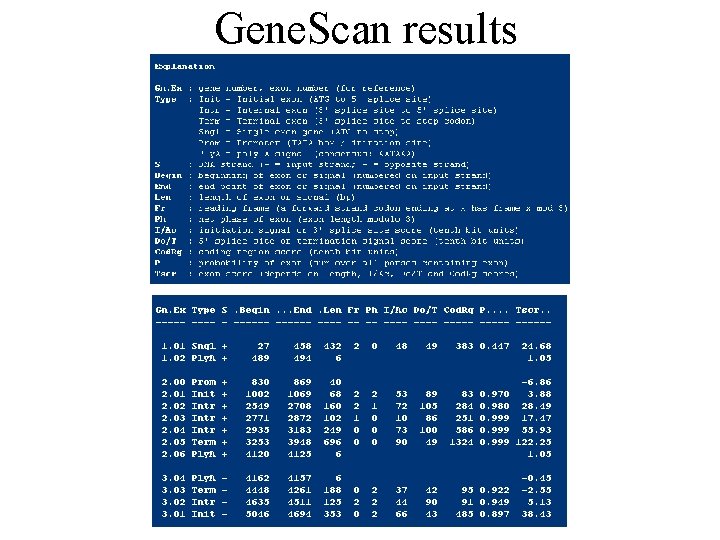Gene. Scan results 