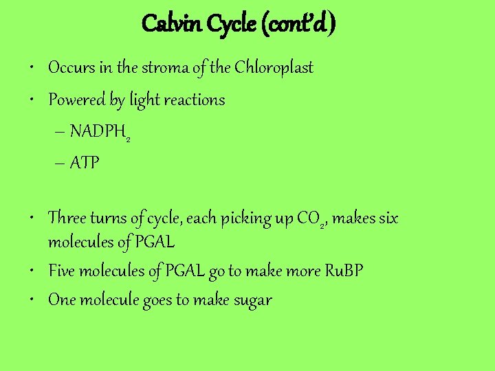 Calvin Cycle (cont’d) • Occurs in the stroma of the Chloroplast • Powered by