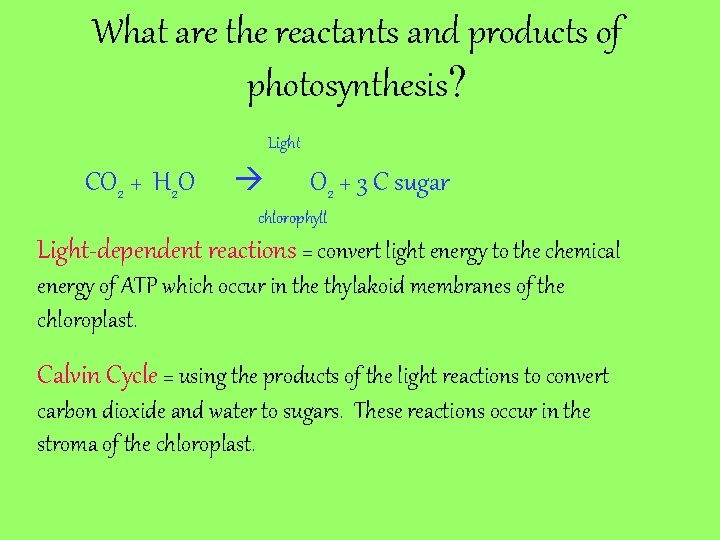 What are the reactants and products of photosynthesis? Light CO 2 + H 2
