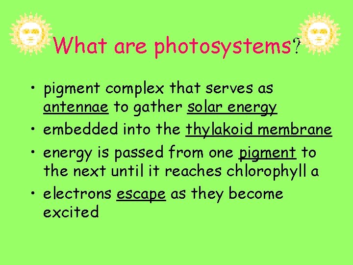 What are photosystems? • pigment complex that serves as antennae to gather solar energy
