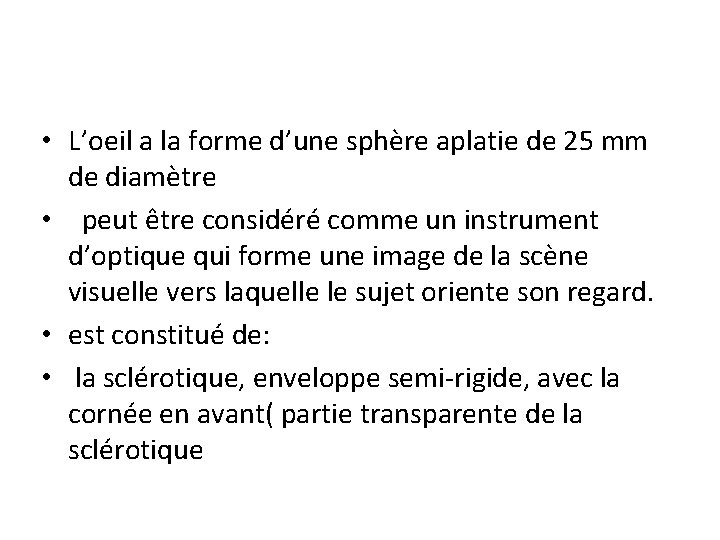  • L’oeil a la forme d’une sphère aplatie de 25 mm de diamètre