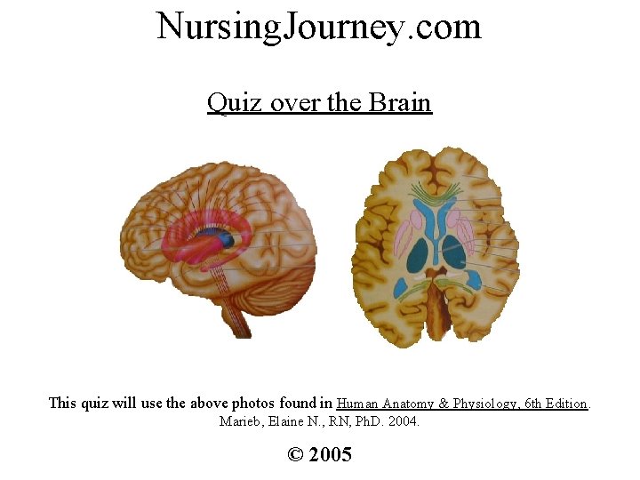 Nursing. Journey. com Quiz over the Brain This quiz will use the above photos