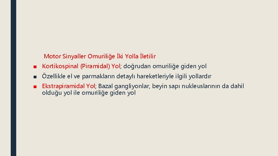 Motor Sinyaller Omuriliğe İki Yolla İletilir ■ Kortikospinal (Piramidal) Yol; doğrudan omuriliğe giden yol