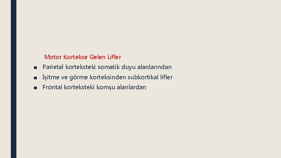 Motor Kortekse Gelen Lifler ■ Parietal korteksteki somatik duyu alanlarından ■ İşitme ve görme