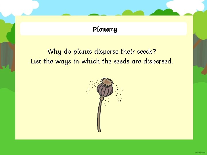 Plenary Why do plants disperse their seeds? List the ways in which the seeds