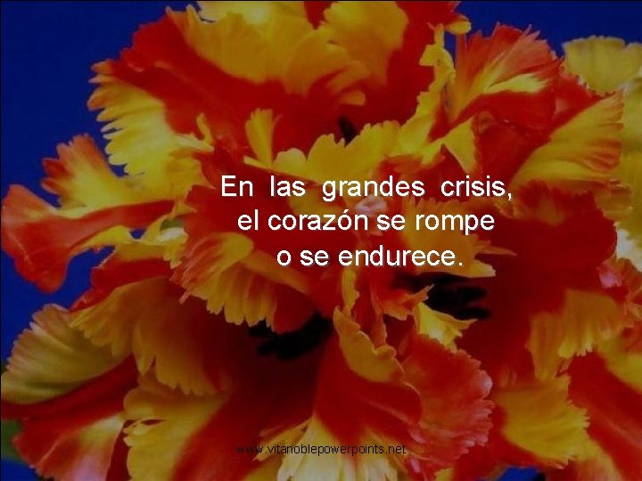 En las grandes crisis, el corazón se rompe o se endurece. www. vitanoblepowerpoints. net