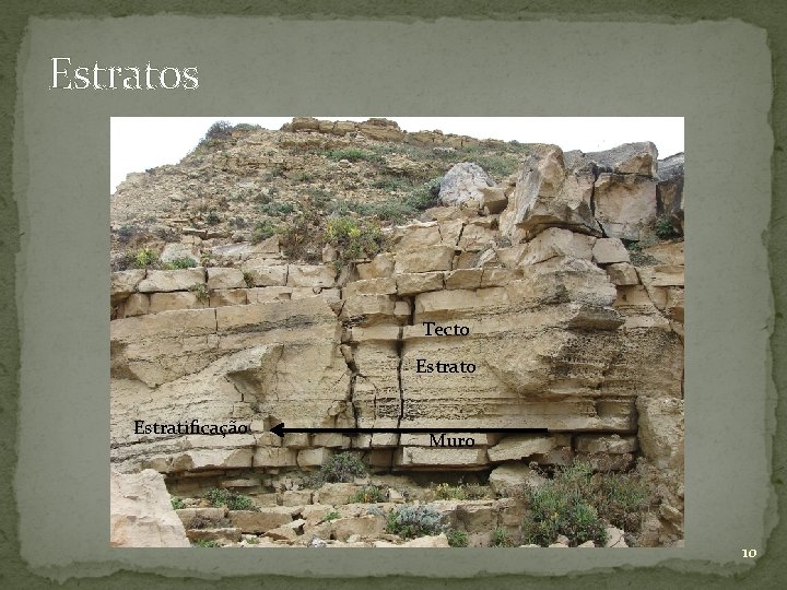 Estratos Tecto Estratificação Muro 10 