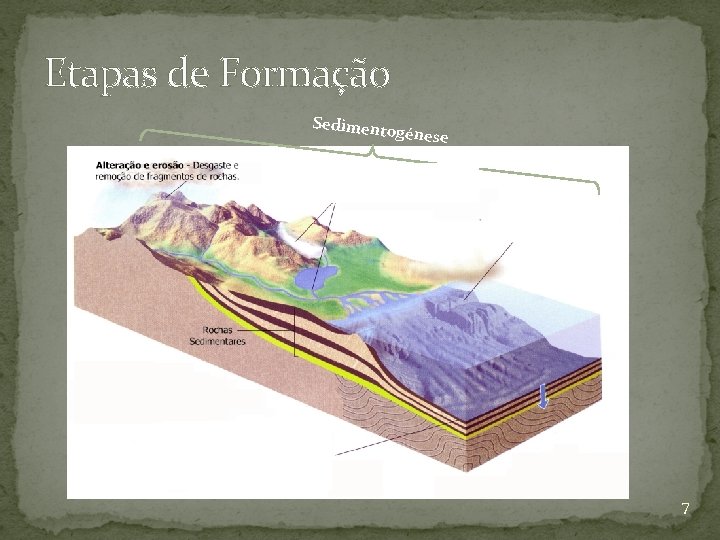 Etapas de Formação Sedimento génese 7 