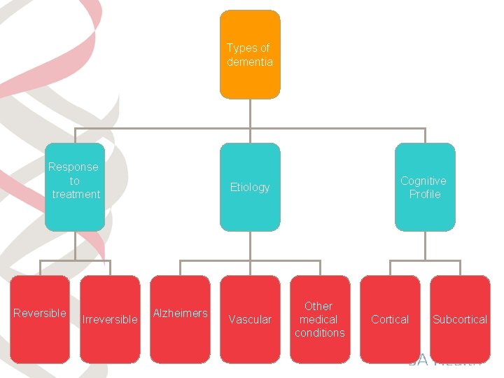Types of dementia Response to treatment Reversible Irreversible Cognitive Profile Etiology Alzheimers Vascular Other