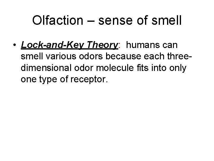 Olfaction – sense of smell • Lock-and-Key Theory: humans can smell various odors because
