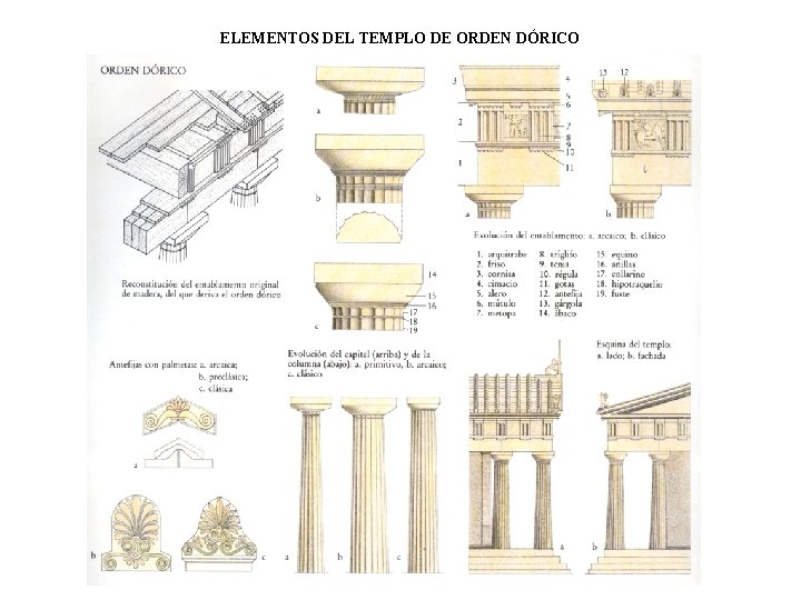 ELEMENTOS DEL TEMPLO DE ORDEN DÓRICO 