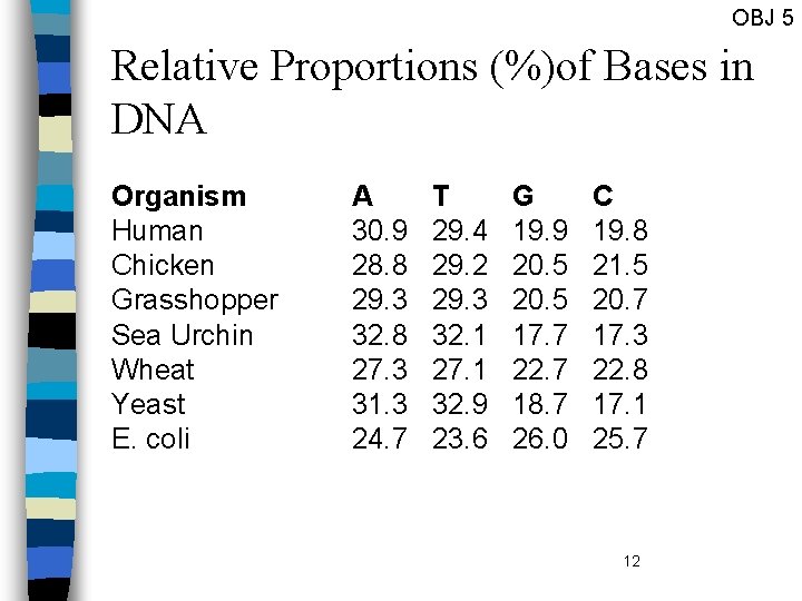 OBJ 5 Relative Proportions (%)of Bases in DNA Organism Human Chicken Grasshopper Sea Urchin