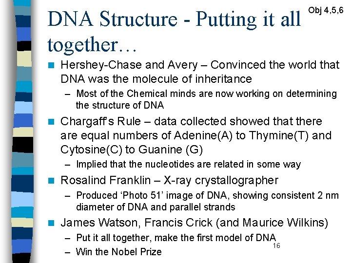 DNA Structure - Putting it all together… n Obj 4, 5, 6 Hershey-Chase and