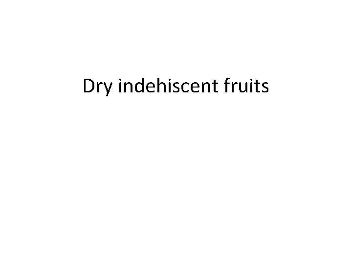 Dry indehiscent fruits 