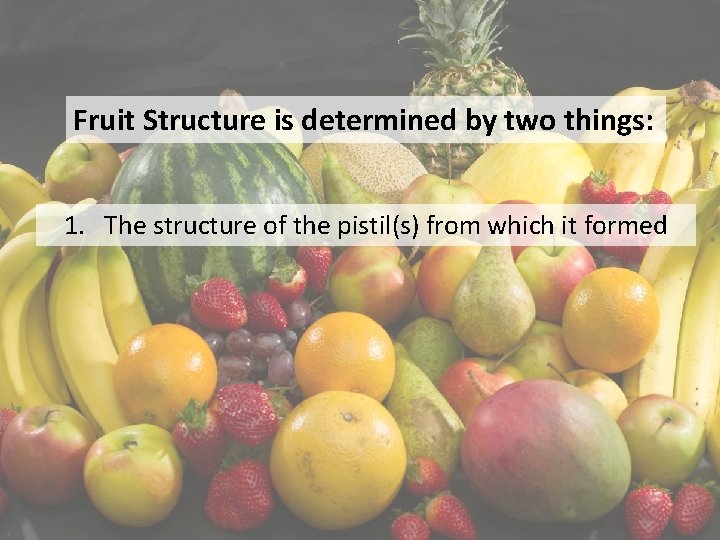 Fruit Structure is determined by two things: 1. The structure of the pistil(s) from