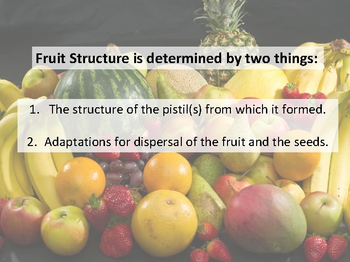 Fruit Structure is determined by two things: 1. The structure of the pistil(s) from