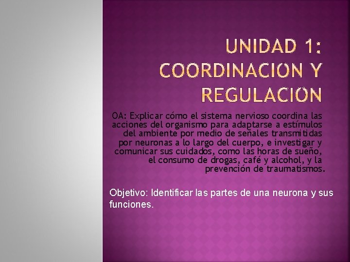 OA: Explicar cómo el sistema nervioso coordina las acciones del organismo para adaptarse a