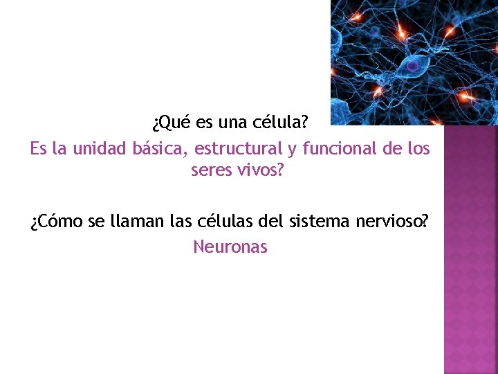 ¿Qué es una célula? Es la unidad básica, estructural y funcional de los seres